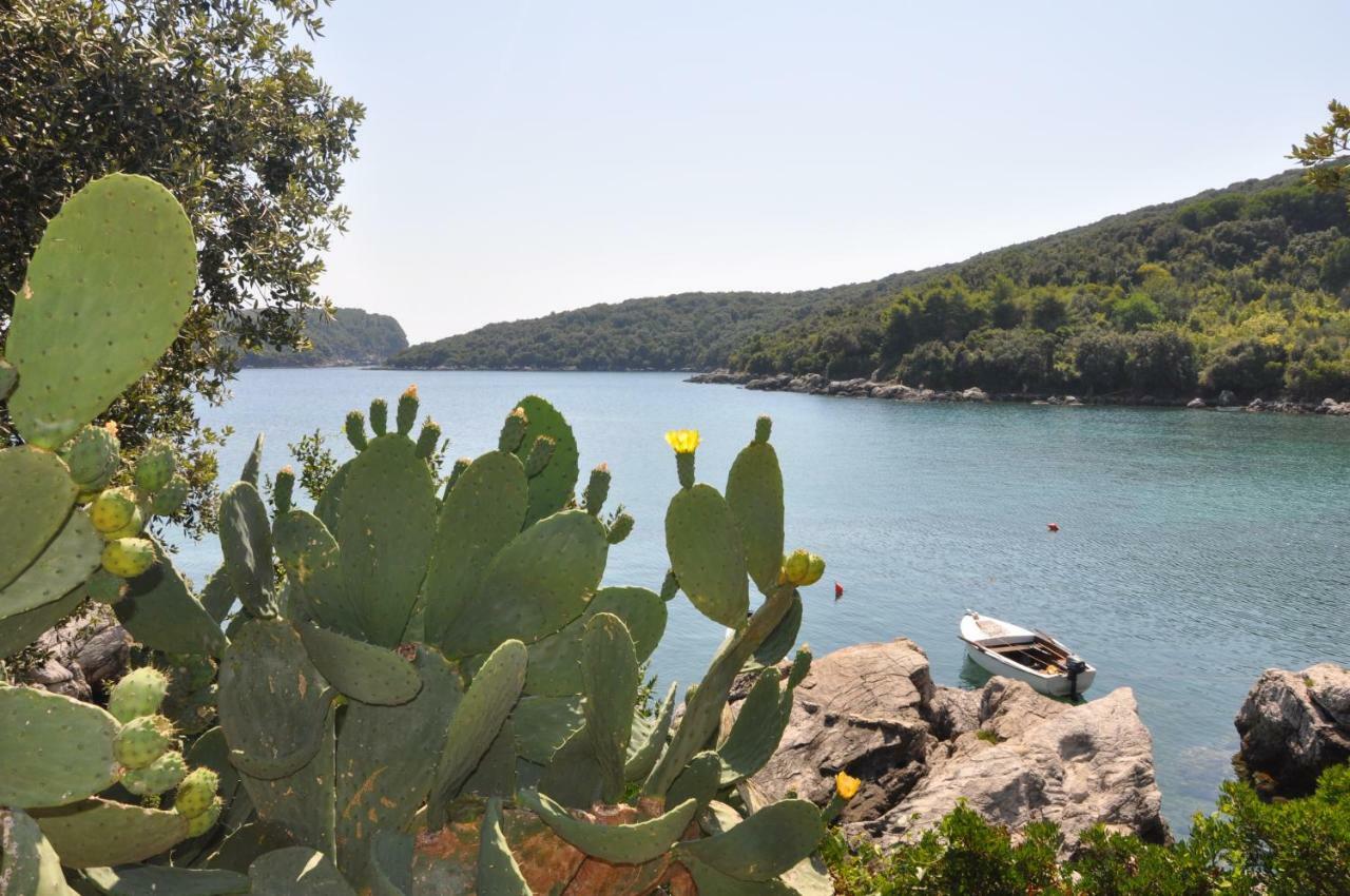 Villa Marin Molunat Bagian luar foto